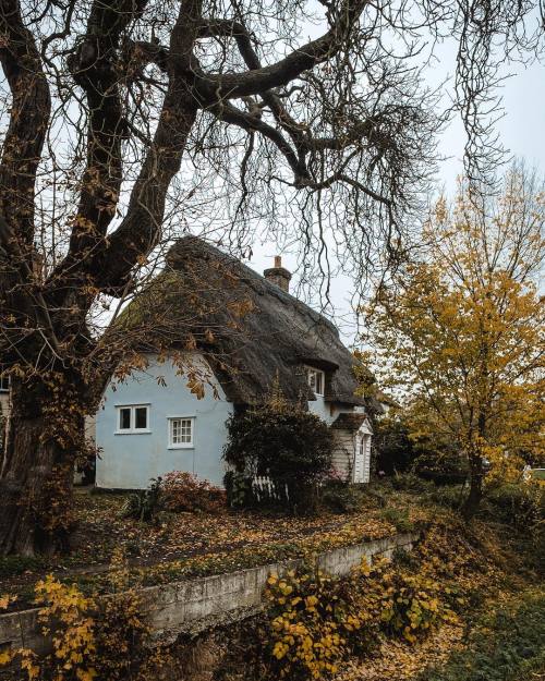 bookofoctober:Essex, England. Photo by katya_jackson