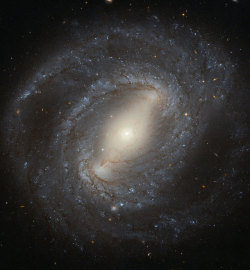 Just&Amp;Ndash;Space:  Hubble Spies The Barred Spiral Galaxy Ngc 4394 : Shown In