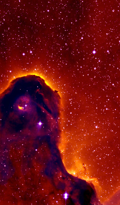 sagansense:   A New View of the Elephant’s Trunk Nebula The Elephant’s Trunk nebula, formally known as IC1396A, is a cloud of gas and dust located 2400 light years from Earth in the constellation Cepheus. The Elephant Trunk is part of a larger region