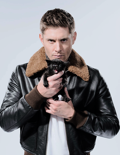 ultravioletcas:jensen vs black kitten 