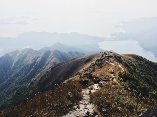 bonfirelegends: danielodowd: Philip Lee Bloody hated this hiking trail, shit tons of spider webs and