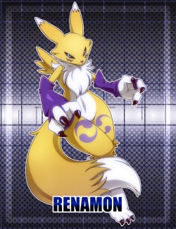 fandoms-females:  renamon_by_nancher ( Af #9 - Vexing Swirls