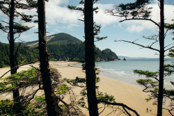 thenorthwestexplorer:  Location: Oswald West State Park - Oregon Coast Date: June 8th, 2014  Fuck I wanna move here