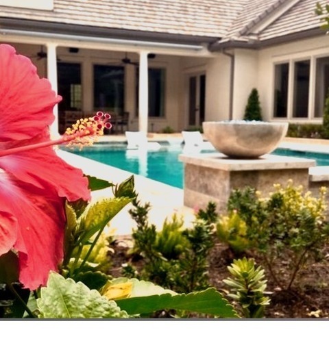 Pool In HoustonExample Of A Large Transitional Backyard Stone And Rectangular Lap Pool Fountain Design