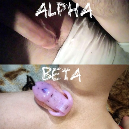 Another Alpha comparison post for @rhinodick. ^~^ thank you, sir, for putting me in my place as a su