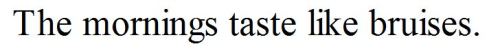 feral-ballad:Erika L. Sánchez, from Lessons on Expulsion: Poems; “Crossing"