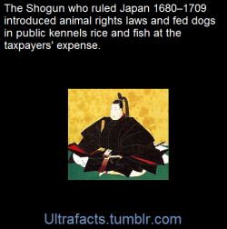 ultrafacts:Tokugawa Tsunayoshi was the fifth shogun of the Tokugawa dynasty of Japan.  He is known for instituting animal protection laws, particularly for dogs. This earned him the nickname of “the dog shogun.”  Tsunayoshi sought protection for