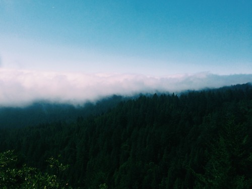 livsays:  Northern California nature // The porn pictures
