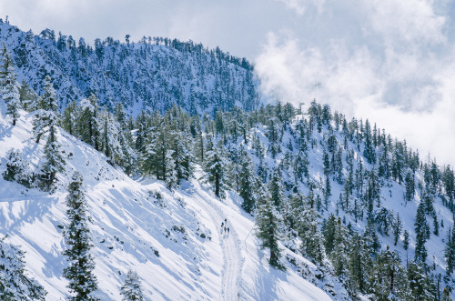 [December 2018] Mt. Baldy, CaliforniaCheck out my IG: @vfc.jpg