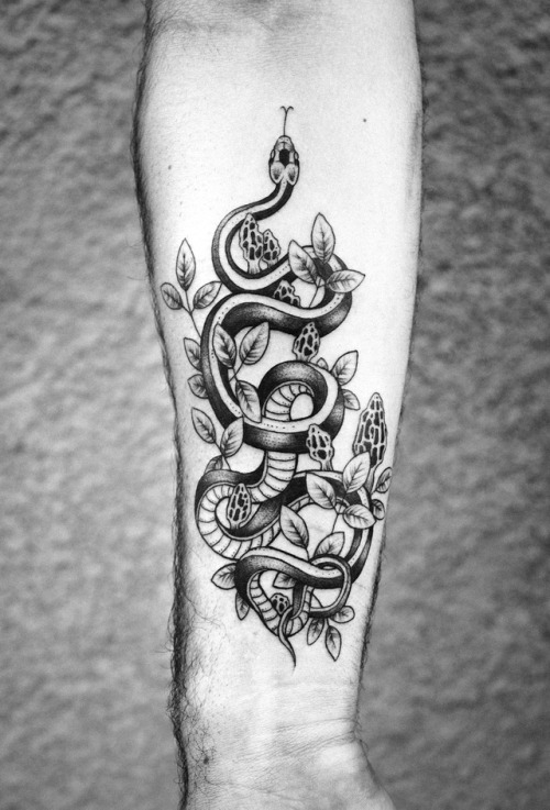 Garder snake with ivy and morel mushrooms for Andrew. 