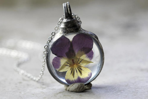 cute-thangsss: forget me not  lavender daisy pansy buttercup Here is where you can find more am