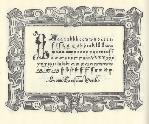 bollatica 3‹lettera bollatica› shows an arrighi specimen fragment of this sp