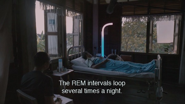 somequeerdistortion:“As I researched sleep, I found that we sleep in intervals.