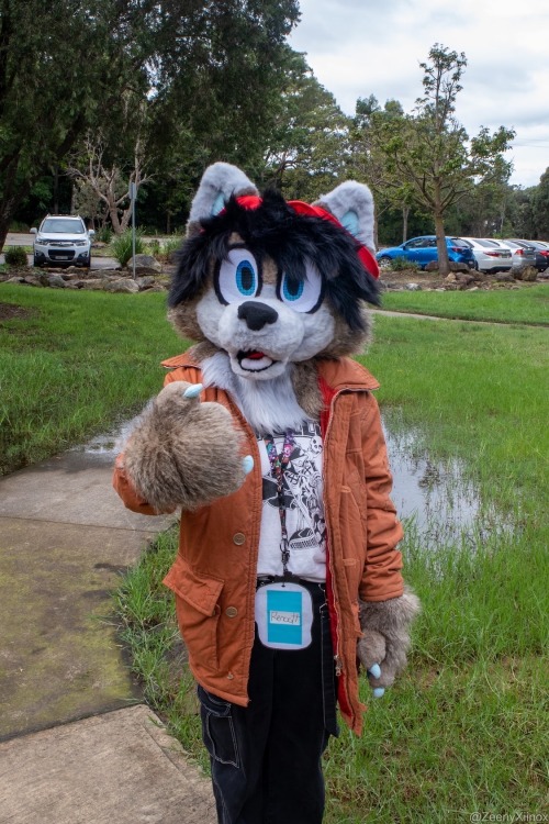 Stan! My Main Fursuit!