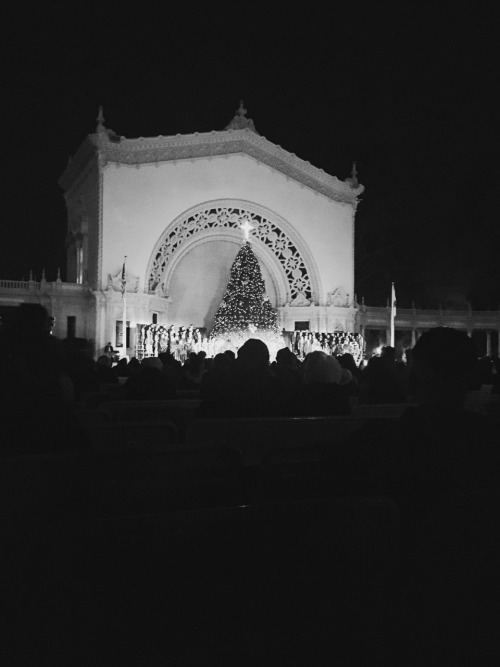 balboa park / december nights