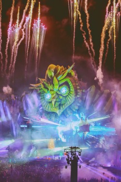 edmvibe:  Electric Daisy Carnival 2015 Las Vegas | EDMPHOTOS   This is what EDC was all about.