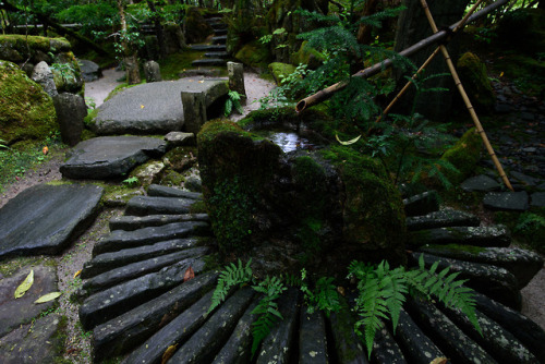 wanderlustjapan:Hosenin Temple byanglo10