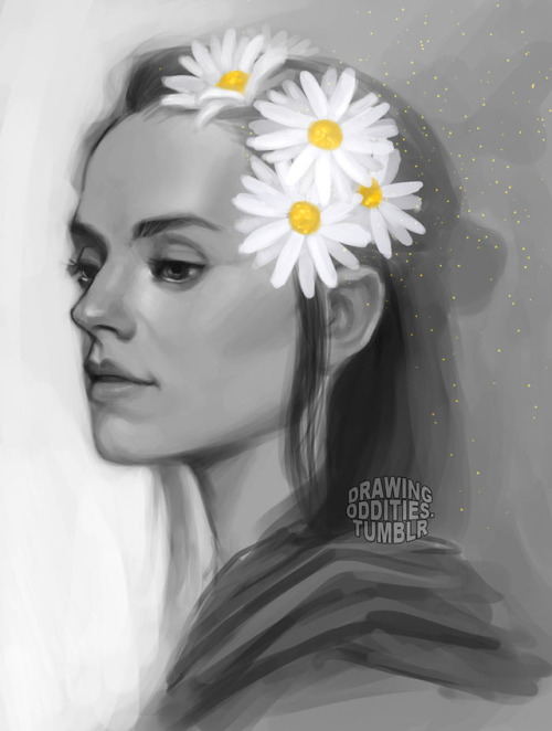 Rey + daisies
