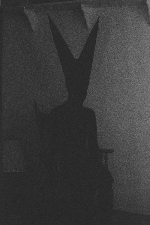 red-ant:  “Bunny Man”  -JerryScott 