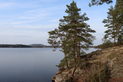 Lake Frövettern.