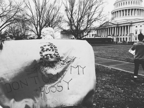library-mermaid:Women’s March on Washington : Signs