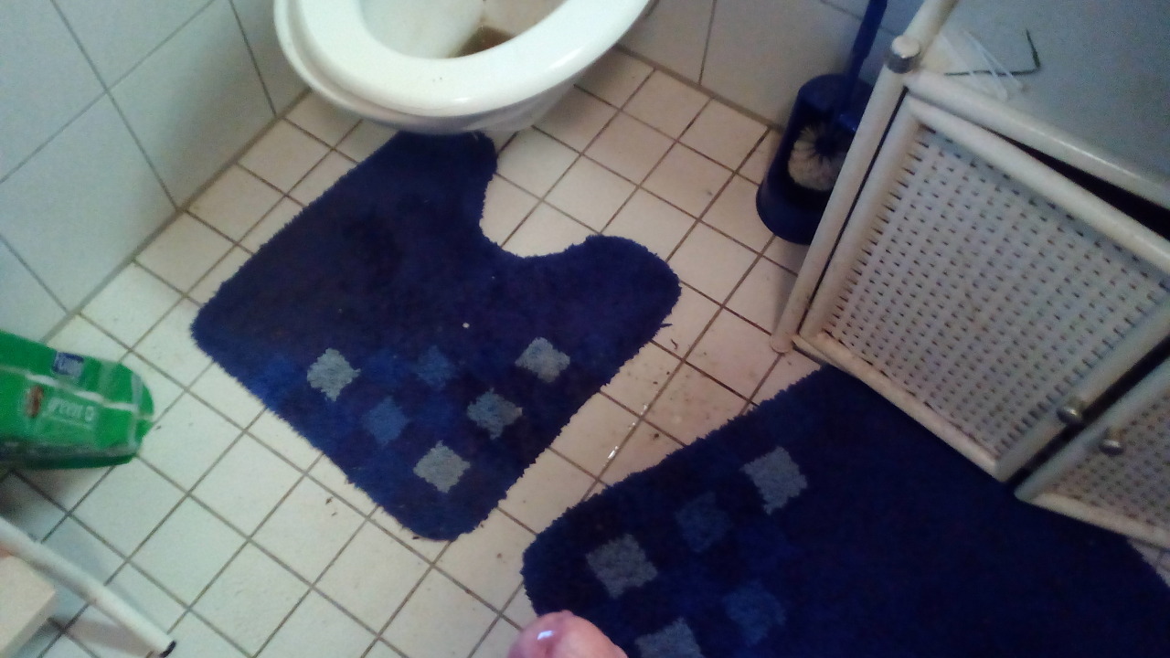 tägliches einpissen der Toilette macht es wohnlicher für das Schwein