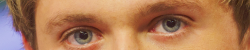 1d-s:  niall’s perfect eyes appreciation