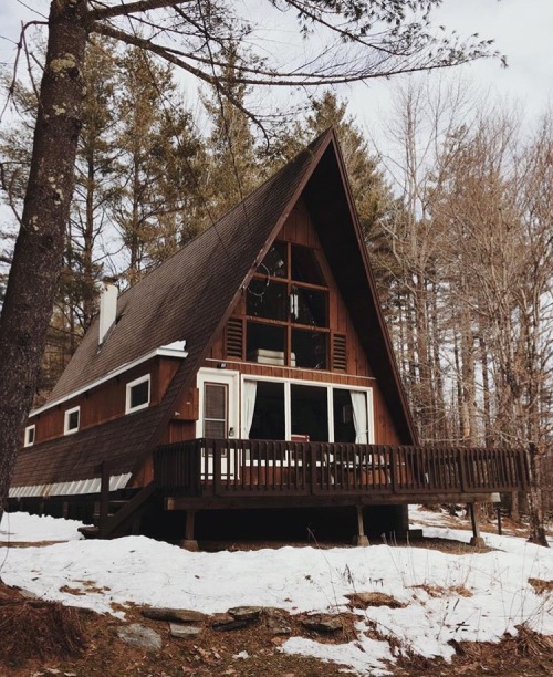 aquietcottagelife: forestbound Amazing