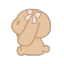 puppyhigh