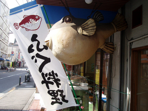 #1998 pufferfish (河豚) restaurant, context