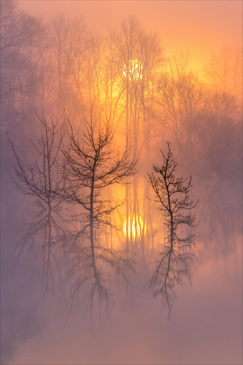 colorel11:© Lysteva