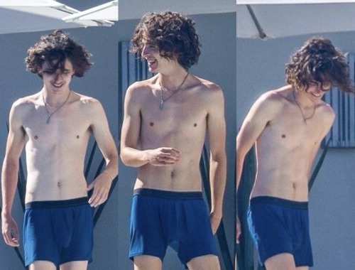 Timothee Chalamet Physique - In a Swimsuit