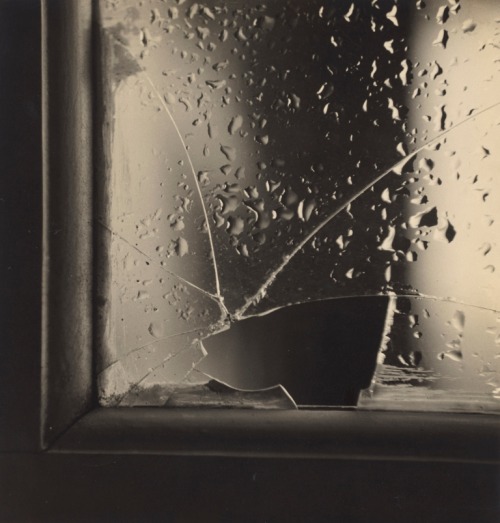 inneroptics:  Maria Helena Valente da Cruz ) The Broken Glass (O vidro partido)c. 1952