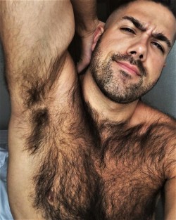 Hairy Armpits Dudes Addict