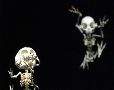 sixpenceee:  Korean artist Hyungkoo Lee imagines what may lie beneath the skins of