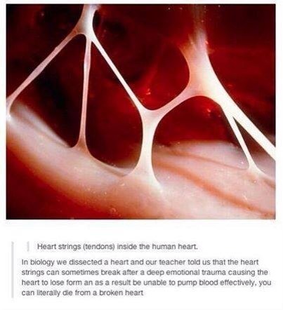 breezybrennana:  I didn’t think this was possible 😳 