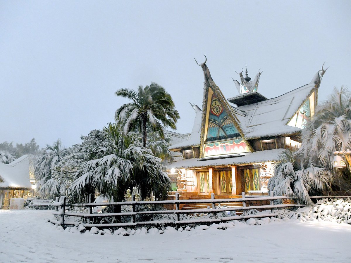 disney-universes:More pictures from the Tokyo Disneyland blizzard