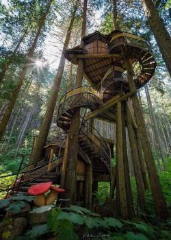 edensmidian:❤️.  Fuck yes! That’s one hell of a treehouse!! 😍😍❤️