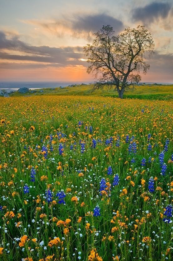 thecogirl:  brisas-1:  (vía Pinterest)  Pretty!!! 