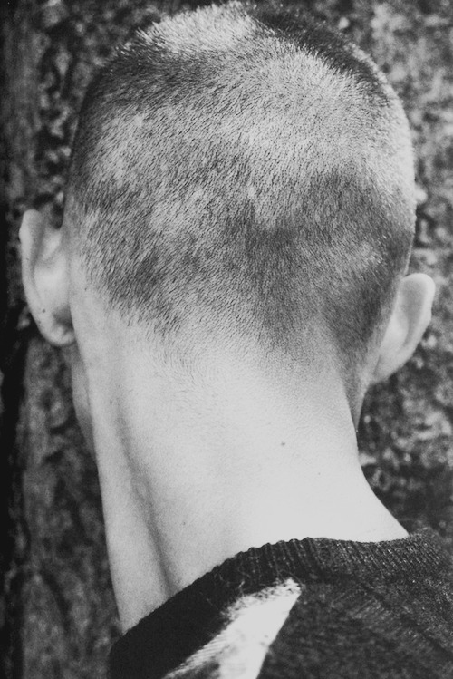 chromeus: Ph. Peter de Potter