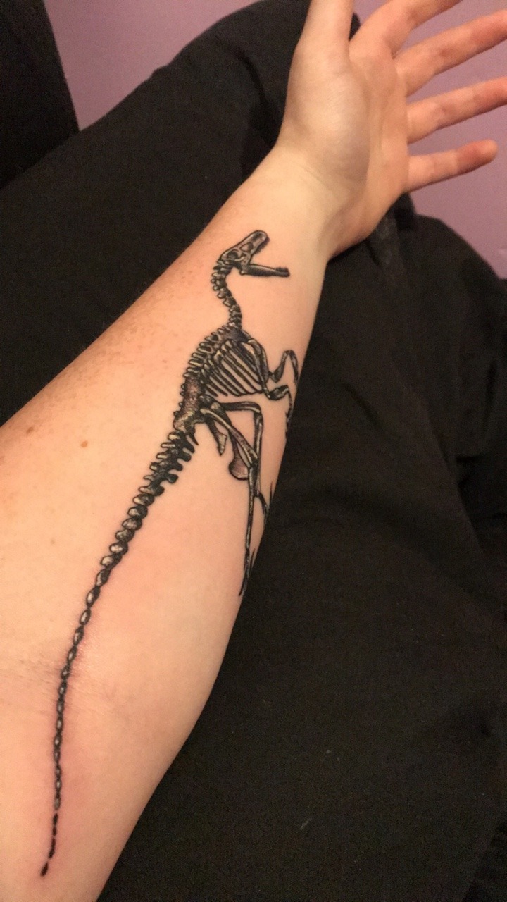 Tattoo uploaded by Granny Kelli  Velociraptor skeleton  Tattoodo