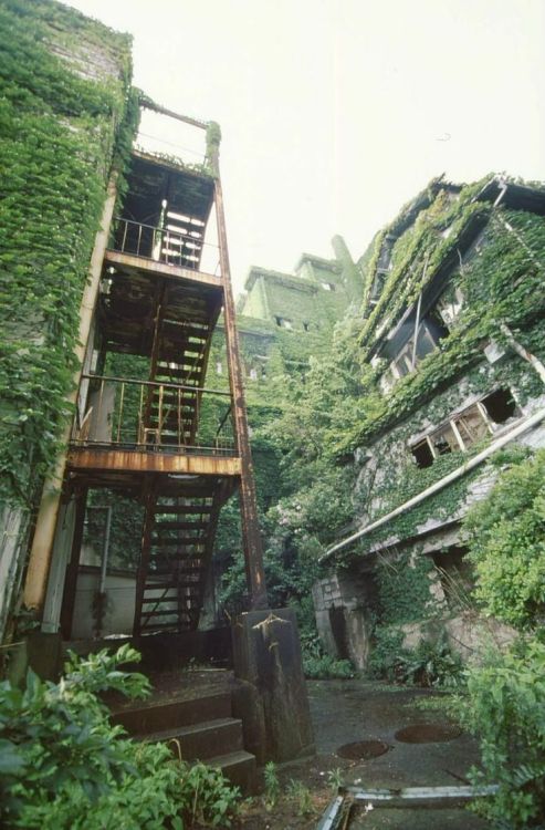 our-amazing-world:  Deadly Horrifying Pl Amazing World beautiful amazing