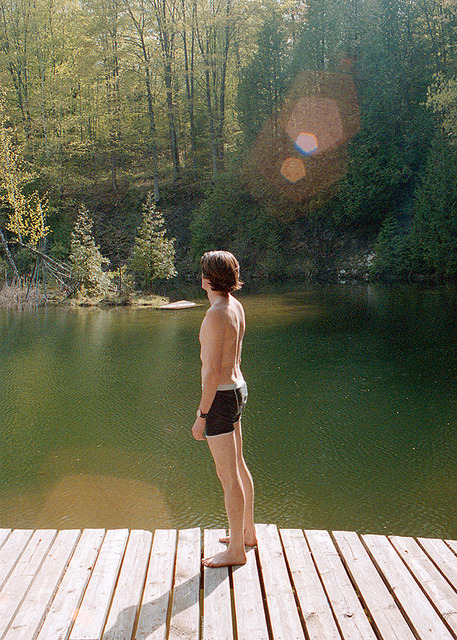 calms:  nature/vintage blog