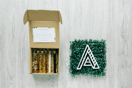 betype:  Angkas: Celelbrating the Craft of Filipino Artisans by Serious Studio