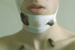 sean-clancy:  Plague (2014) by Kyle Thompson 