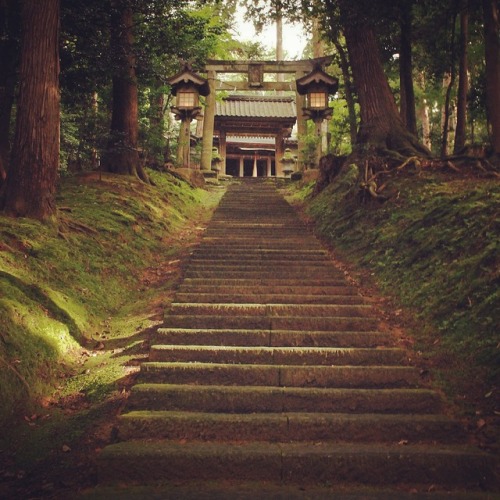 No.859 at Oshio Hachiman Shrine, Echizen City, Fukui, JapanStairs can be a tool to organize my mind.