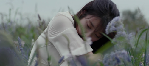 pilsuks:꽃갈피 둘 teaser 