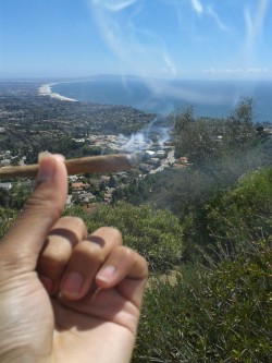 if0undnem0:  Went out adventuring with the bros and came across a DOPE ass sesh spot, the view was amazing! (Pacific Palisades, CA) 