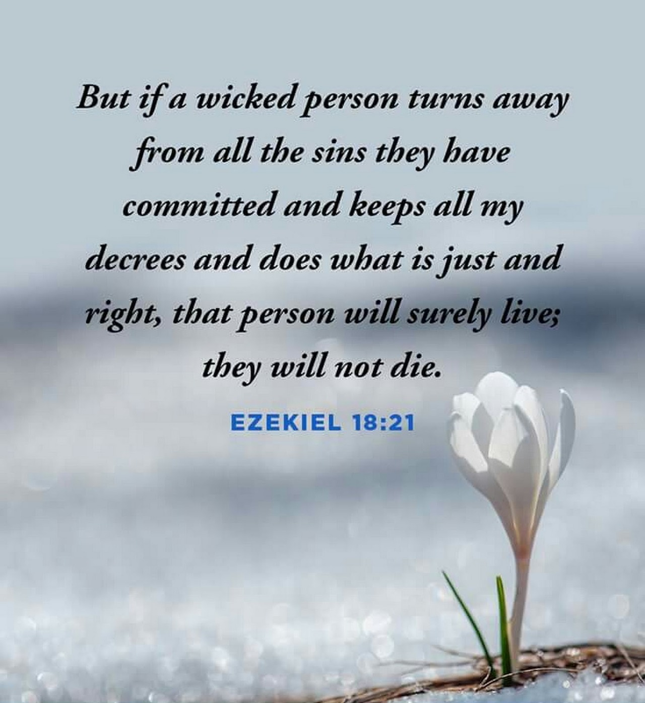 The Living... — Ezekiel 18:21 (NIV) - “But if a wicked person...
