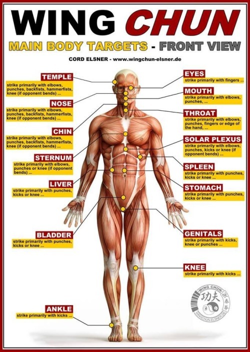 feiyueshoescanada:Wing Chun —Wing Chun is a concept-based Chinese martial art and